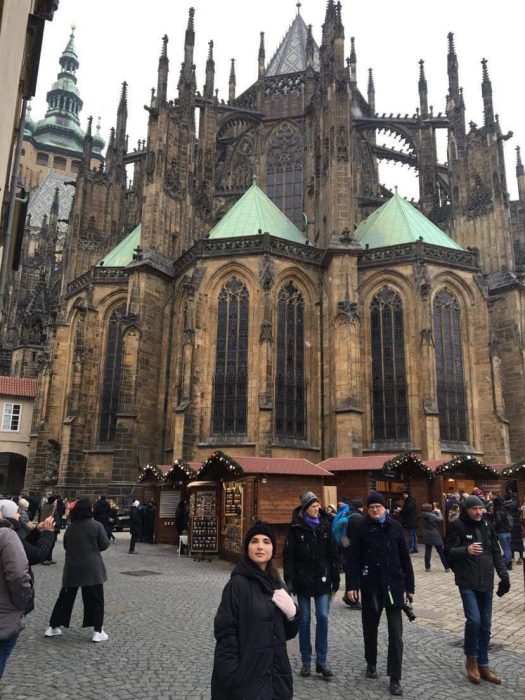 Pragis koshki old.fly.ge