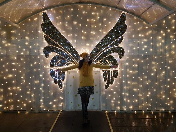 viena_christmas_Austria