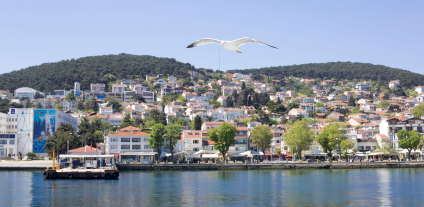 adalar-fly.ge