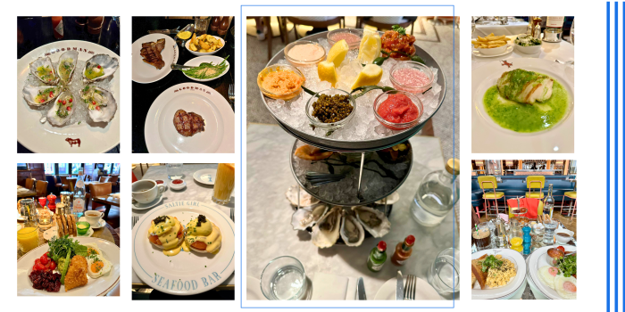 British-gastro-guide-fly.ge